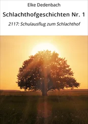 Elke Dedenbach - Schlachthofgeschichten Nr. 1