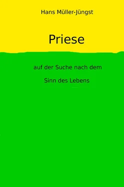 Hans Müller-Jüngst Priese обложка книги