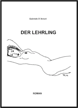 Gabriele D`Amori Der Lehrling обложка книги