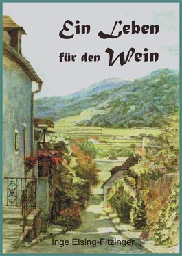 Inge Elsing-Fitzinger Ein Leben für den Wein обложка книги