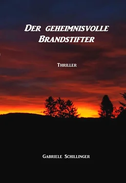 Gabriele Schillinger Der geheimnisvolle Brandstifter обложка книги