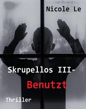 Nicole Le Skrupellos III - Benutzt обложка книги