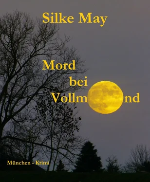 Silke May Mord bei Vollmond обложка книги