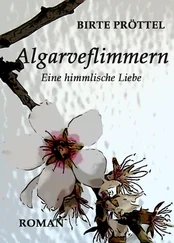 Birte Pröttel - Algarveflimmern