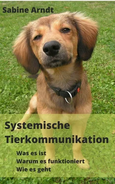 Sabine Arndt Systemische Tierkommunikation обложка книги