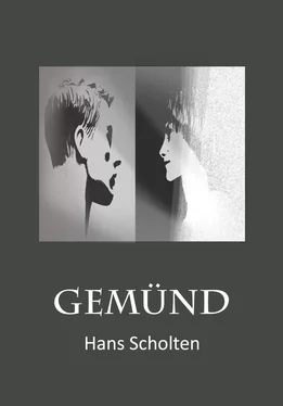 Hans Scholten Gemünd обложка книги