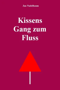 Jan Nadelbaum Kissens Gang zum Fluss обложка книги