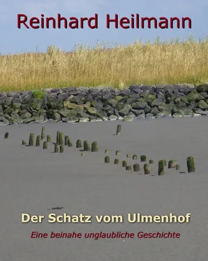 Reinhard Heilmann Der Schatz vom Ulmenhof обложка книги