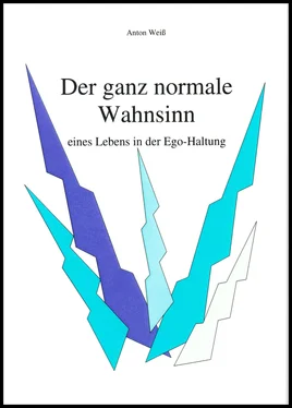 Anton Weiß Der ganz normale Wahnsinn обложка книги