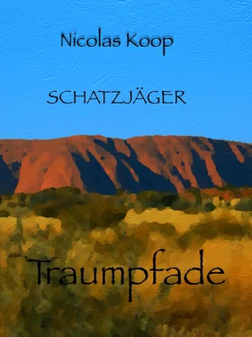 Nicolas Koop Schatzjäger обложка книги