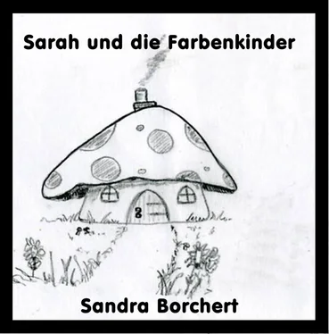 Sandra Borchert Sarah und die Farbenkinder обложка книги