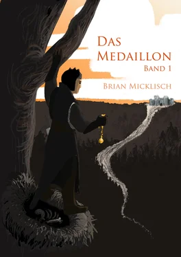 Brian Micklisch Das Medaillon обложка книги