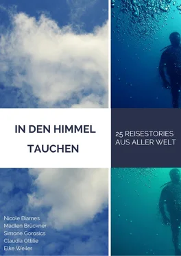 5 Reisebloggerinnen In den Himmel tauchen обложка книги