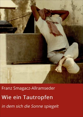 Franz Smagacz-Allramseder Wie ein Tautropfen обложка книги