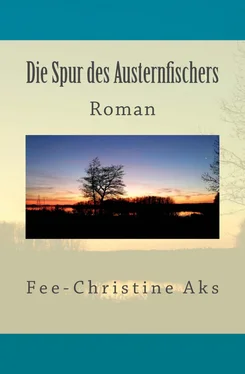 Fee-Christine Aks Die Spur des Austernfischers обложка книги