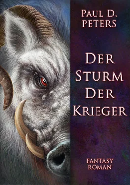 Paul D. Peters Der Sturm der Krieger обложка книги