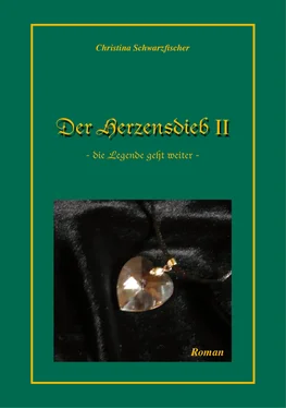 Christina Schwarzfischer Der Herzensdieb 2 обложка книги