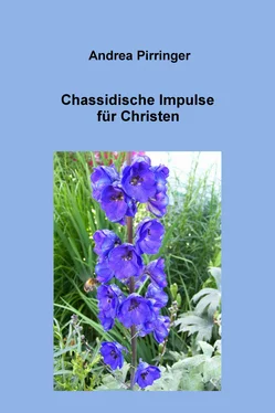 Andrea Pirringer Chassidische Impulse für Christen обложка книги