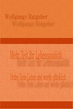 Wolfgangs Ratgeber Mehr Zeit für Lebensqualität обложка книги
