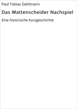 Paul Tobias Dahlmann Das Wattenscheider Nachspiel обложка книги