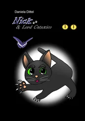 Daniela Dittel - Nick