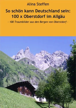 Alina Steffen So schön kann Deutschland sein: 100 x Oberstdorf im Allgäu обложка книги
