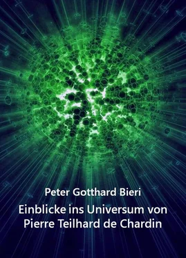 Peter Gotth. Bieri Einblicke ins Universum von Pierre Teilhard de Chardin обложка книги