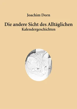 Joachim Dorn Die andere Sicht des Alltäglichen обложка книги