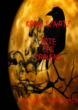 Karin Szivatz Orte des Grauens обложка книги