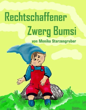 Monika Starzengruber Rechtschaffener Zwerg Bumsi обложка книги