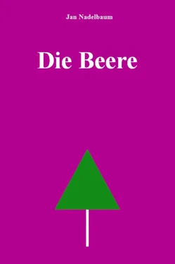 Jan Nadelbaum Die Beere обложка книги