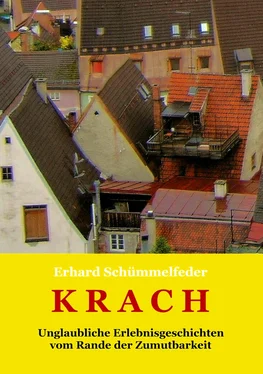 Erhard Schümmelfeder K R A C H обложка книги