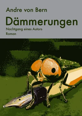 Andre von Bern Dämmerungen обложка книги