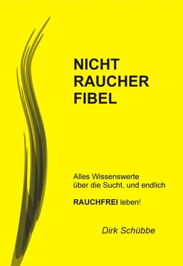 Dirk Schübbe Nichtraucherfibel обложка книги
