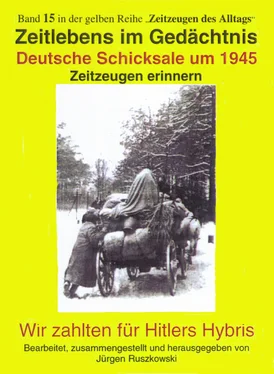 Jürgen Ruszkowski Deutsche Schicksale 1945 - Zeitzeugen erinnern обложка книги