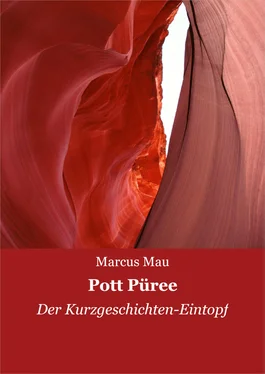 Marcus Mau Pott Püree обложка книги