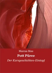 Marcus Mau - Pott Püree