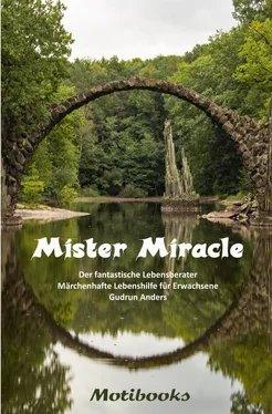 Gudrun Anders Mister Miracle - Der fantastische Lebensberater обложка книги
