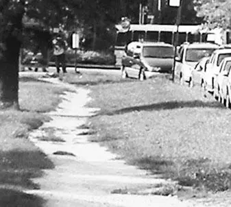 Бродвей существовал задолго до появления НьюЙорка Breede weg 143 так - фото 16