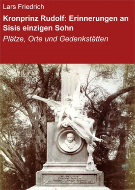 Lars Friedrich Kronprinz Rudolf: Erinnerungen an Sisis einzigen Sohn обложка книги