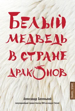 Александр Беленький Белый медведь в стране драконов обложка книги