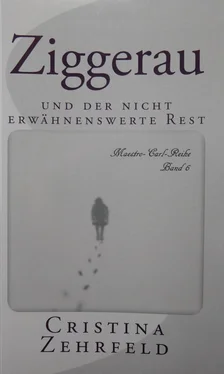 Cristina Zehrfeld Ziggerau обложка книги