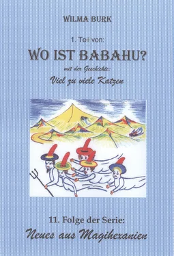 Wilma Burk Wo Ist Babahu? обложка книги