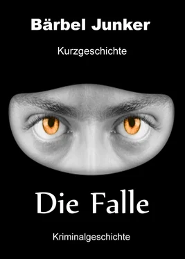 Bärbel Junker Die Falle обложка книги
