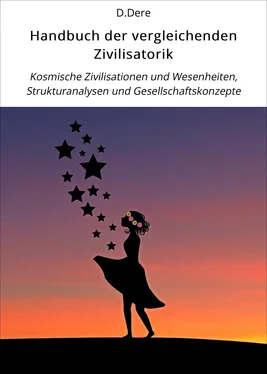 D.Dere Handbuch der vergleichenden Zivilisatorik обложка книги