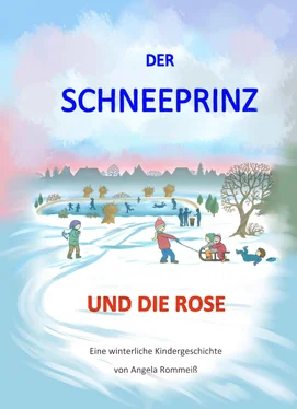 Angela Rommeiß Der Schneeprinz und die Rose обложка книги