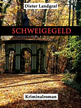 Dieter Landgraf Schweigegeld обложка книги