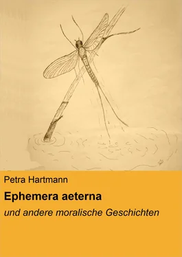 Petra Hartmann Ephemera aeterna обложка книги