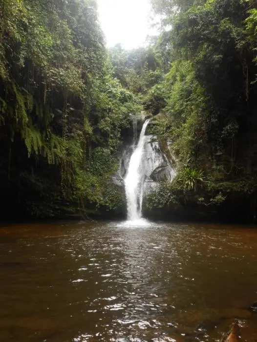 Ein Wasserfall nahe bei Kpalimé Auf dem Weg dorthin begegneten wir dunkelbraun - фото 12