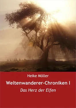 Heike Möller Weltenwanderer-Chroniken I обложка книги